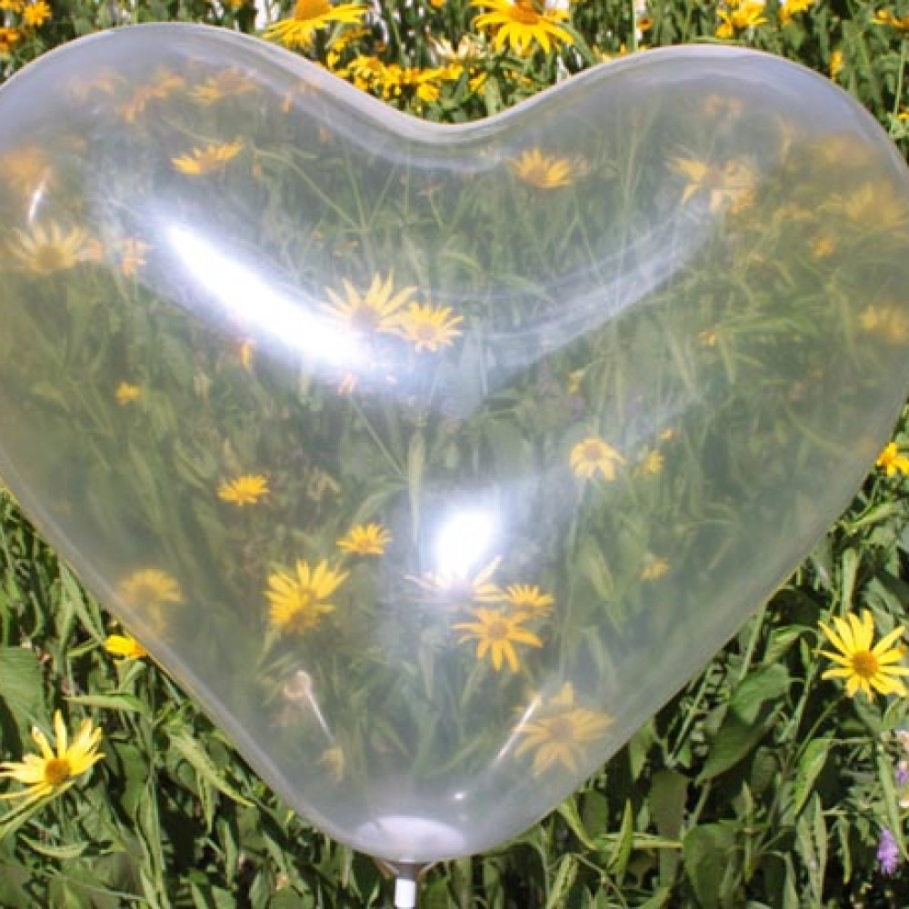 Серце 10" кристал 00 прозорий (CR)