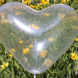 Серце 10" кристал 00 прозорий (CR)