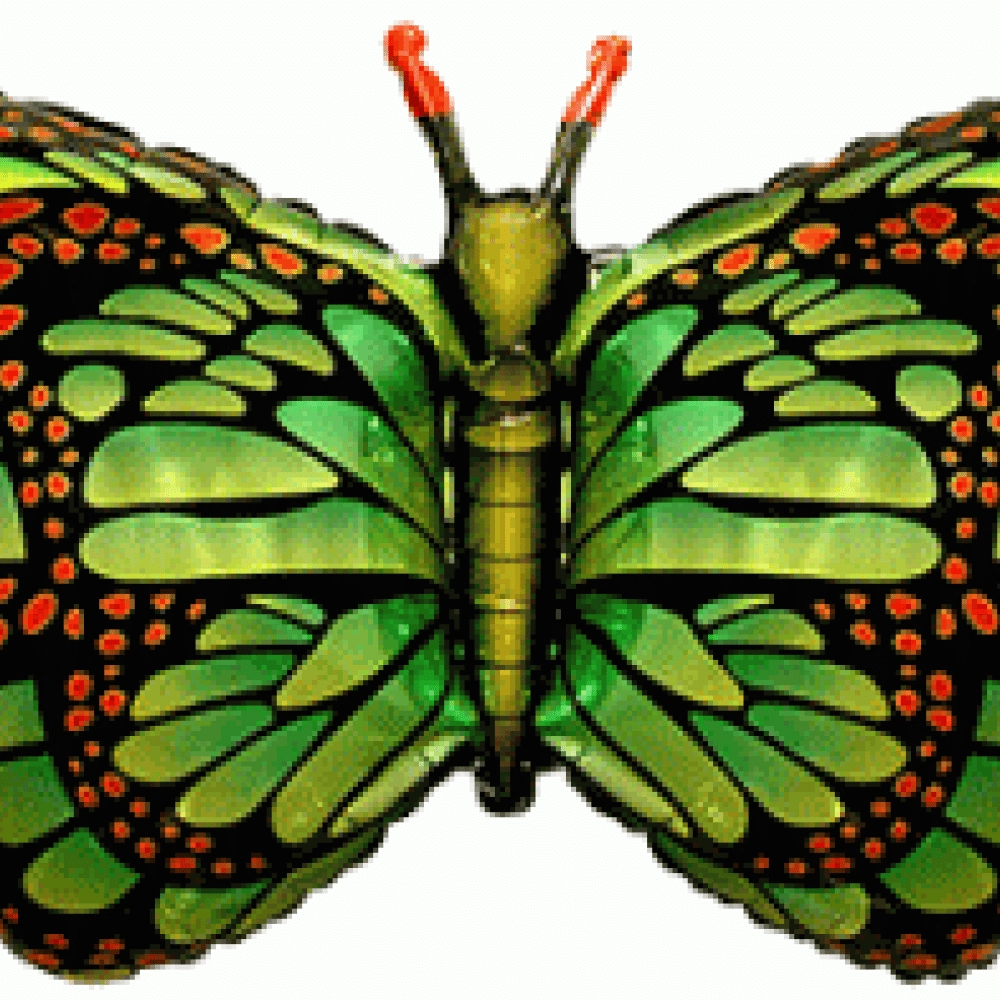 Метелик-Махаон 901778VE Фольга зелений