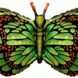 Метелик-Махаон 901778VE Фольга зелений