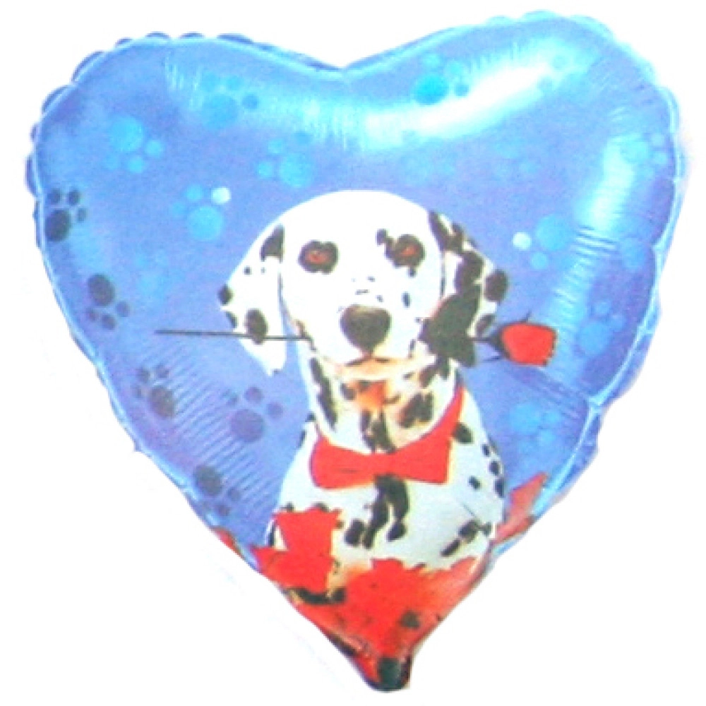 201527 Серце 18" (фольга) з мал.